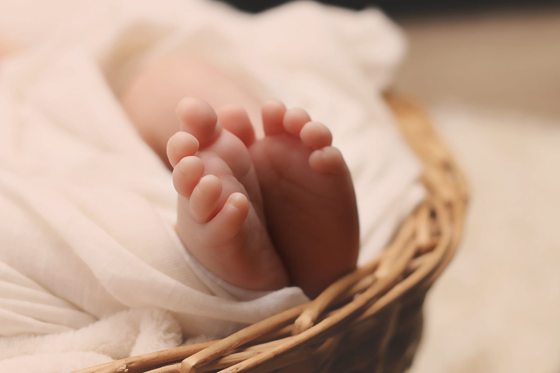 infant adoption in British Columbia