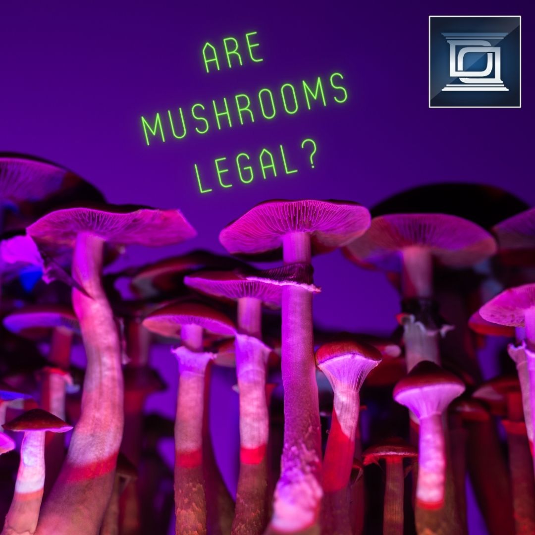 are magic mushrooms legal in BC? Dhanu Dhaliwal Law Group